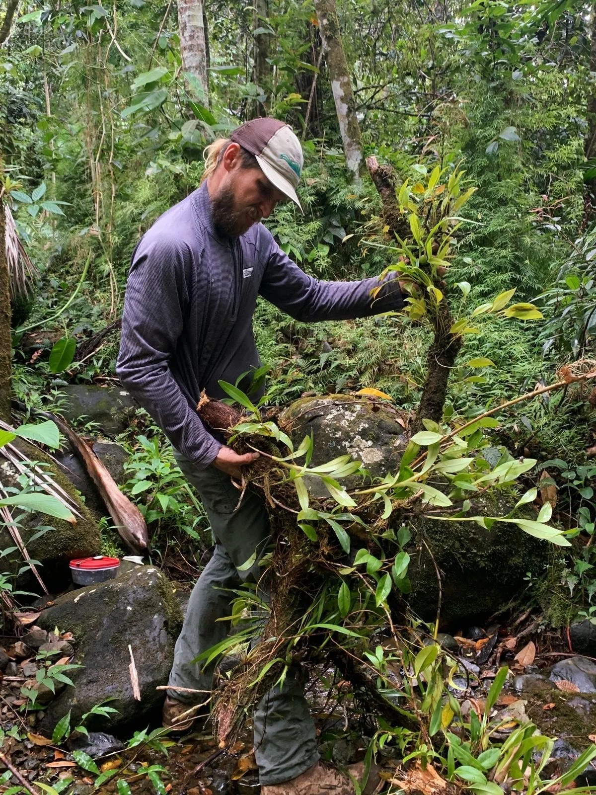 Welcome Ricardo Liquet-González, Agricultural Project Coordinator